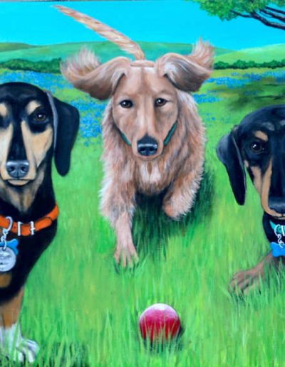 3 Dogs with a Red Ball